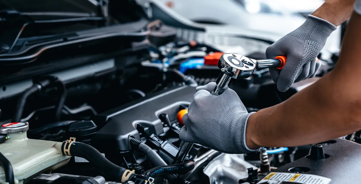 Découvrez un large choix de voitures toutes 